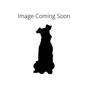 Popular Dog Breeds - My Next Puppy